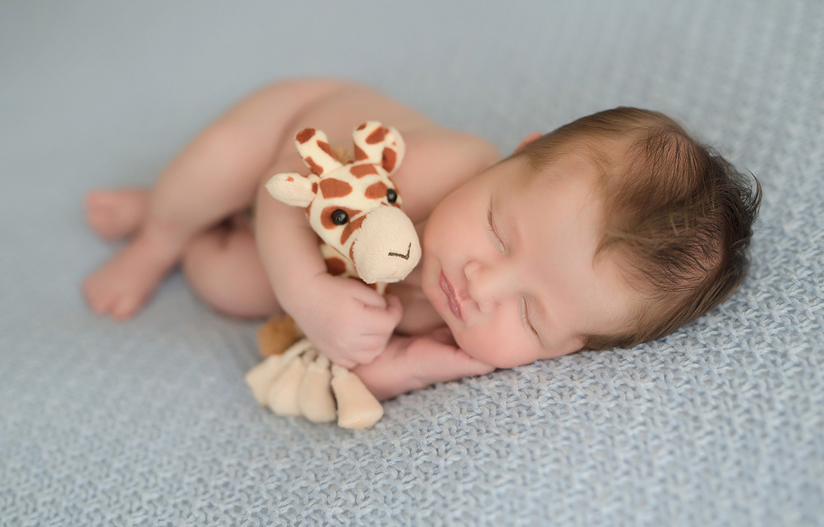 foto de recem nascido em caxias do sul fotografa morgana perini bebe com girafinha