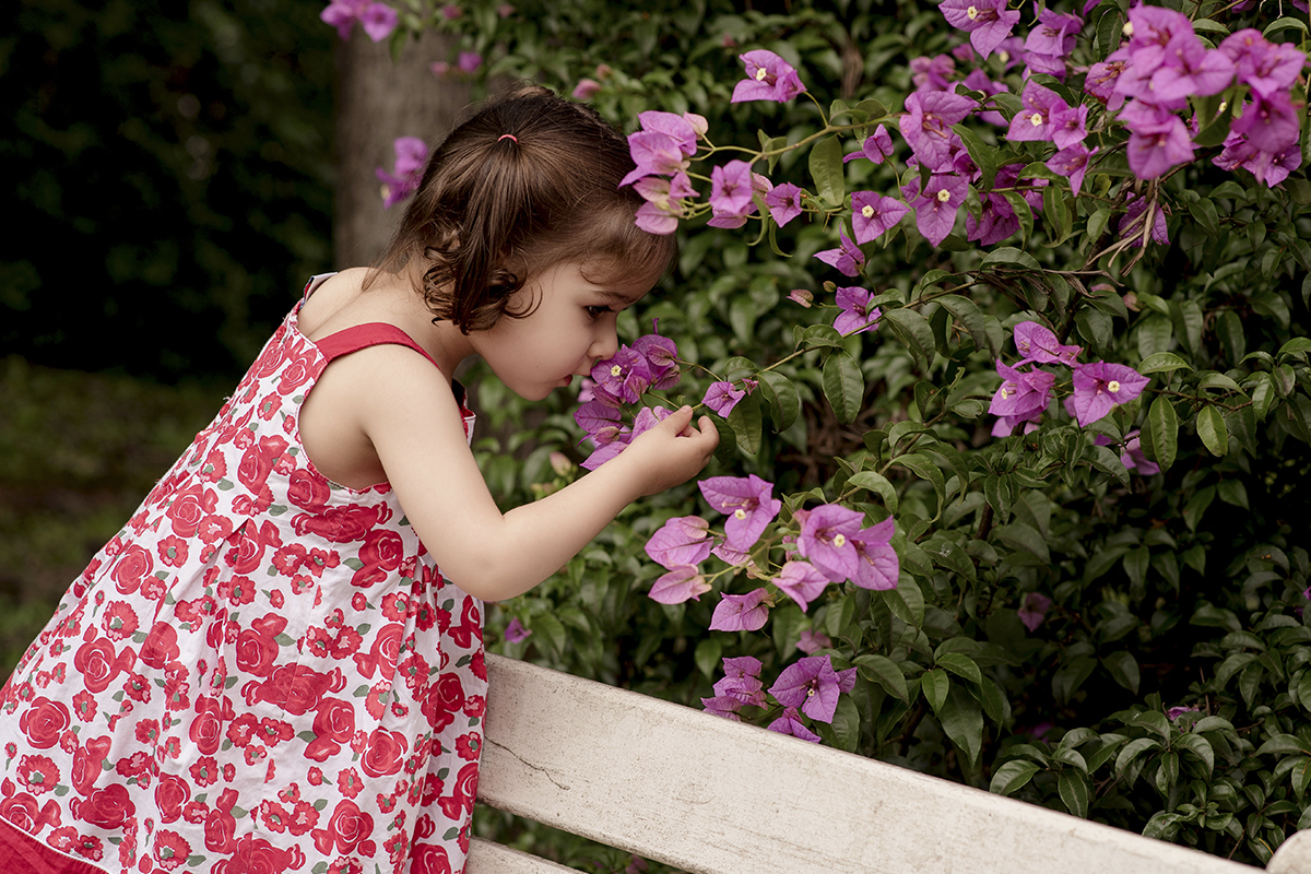 Foto criança em caxias do sul fotografa morgana perini menina cheirando flores rosas