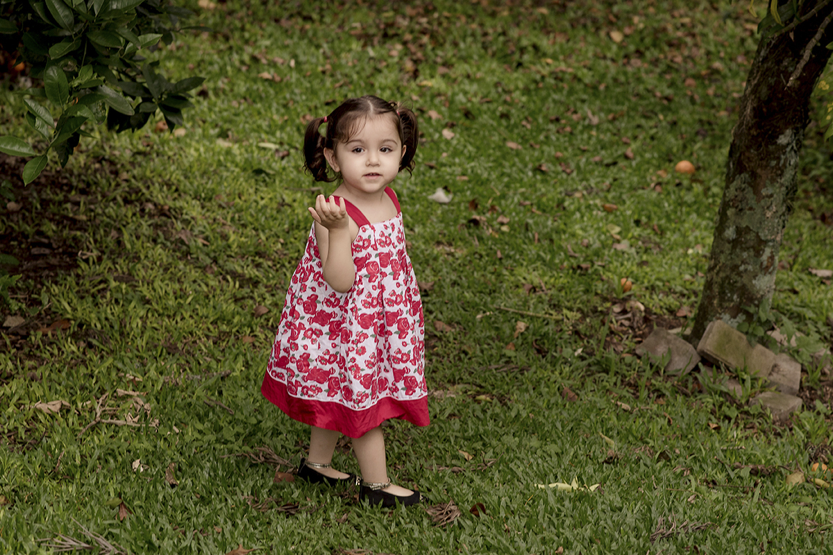 Foto criança em caxias do sul fotografa morgana perini menina em jardim
