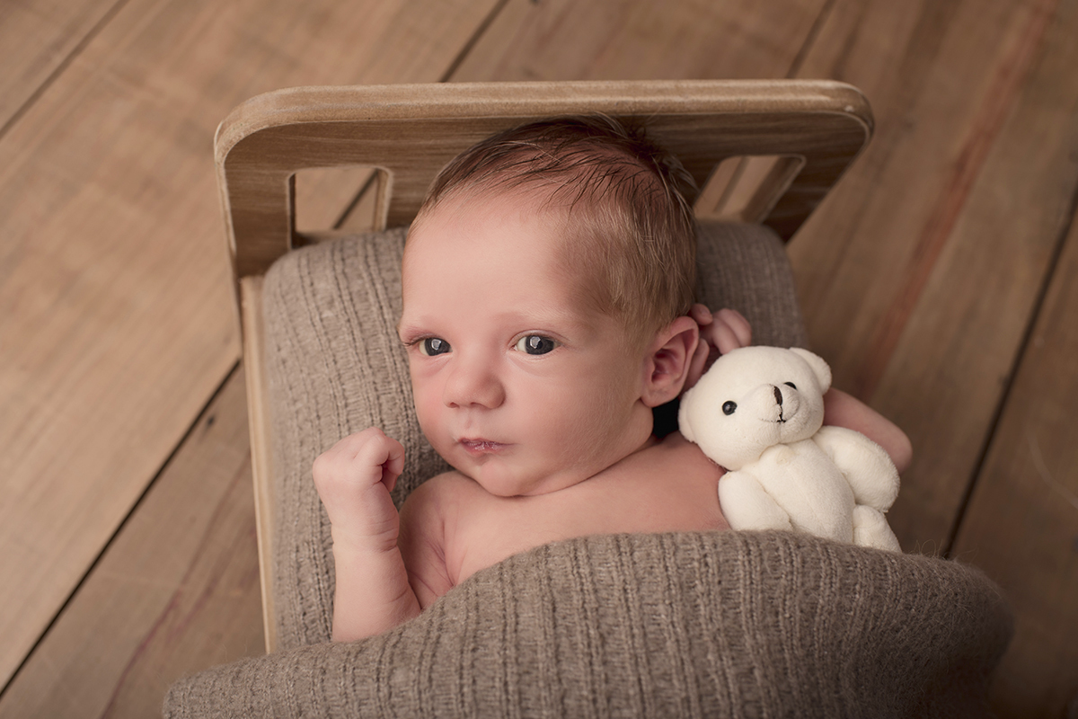 Foto newborn em caxias do sul fotografa morgana perini bebe caminha marrom urso