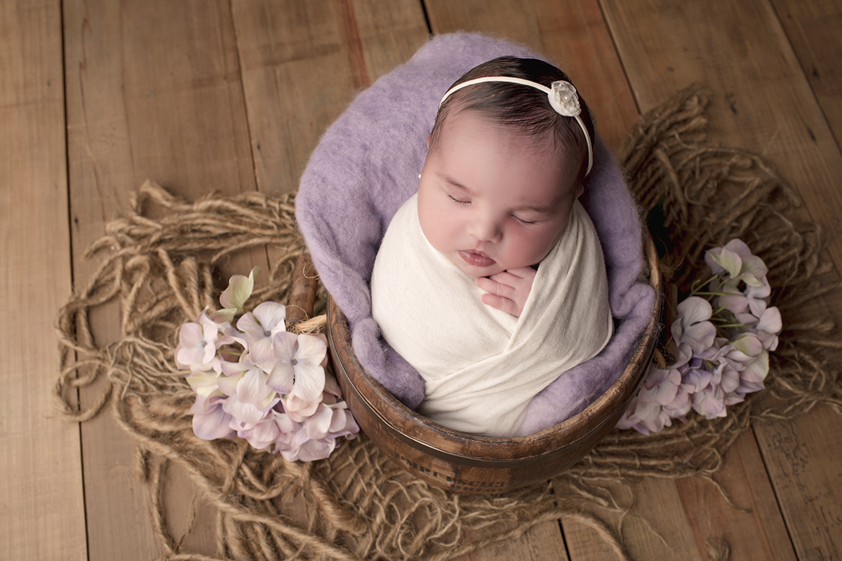 Foto newborn em caxias do sul fotografa morgana perini bebe cesto marrom e roxo