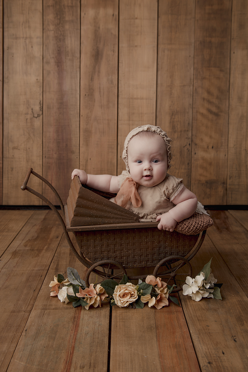Foto de bebe em caxias do sul fotografa morgana perini bebe carrinho marrom
