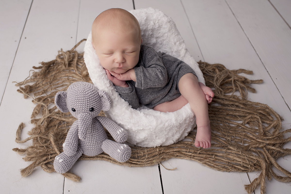 Foto newborn em caxias do sul fotografa morgana perini bebe elefante de croche
