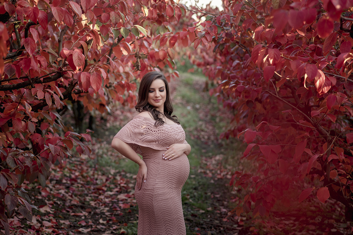 Foto de gestante em caxias do sul fotografa morgana perini  arvores vermelhas