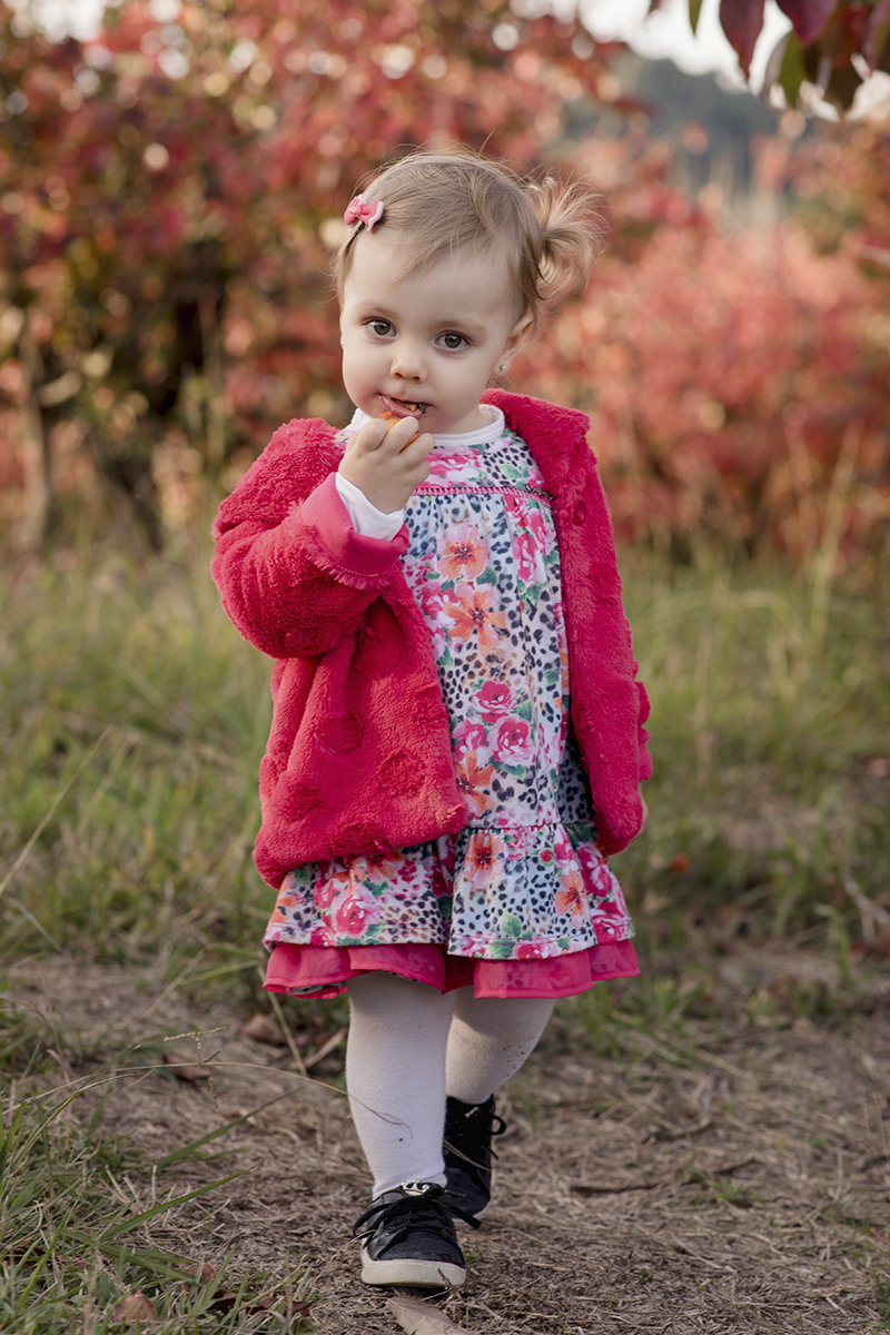 Foto de familia em caxias do sul fotografa morgana perini menina comendo fruta casaco rosa