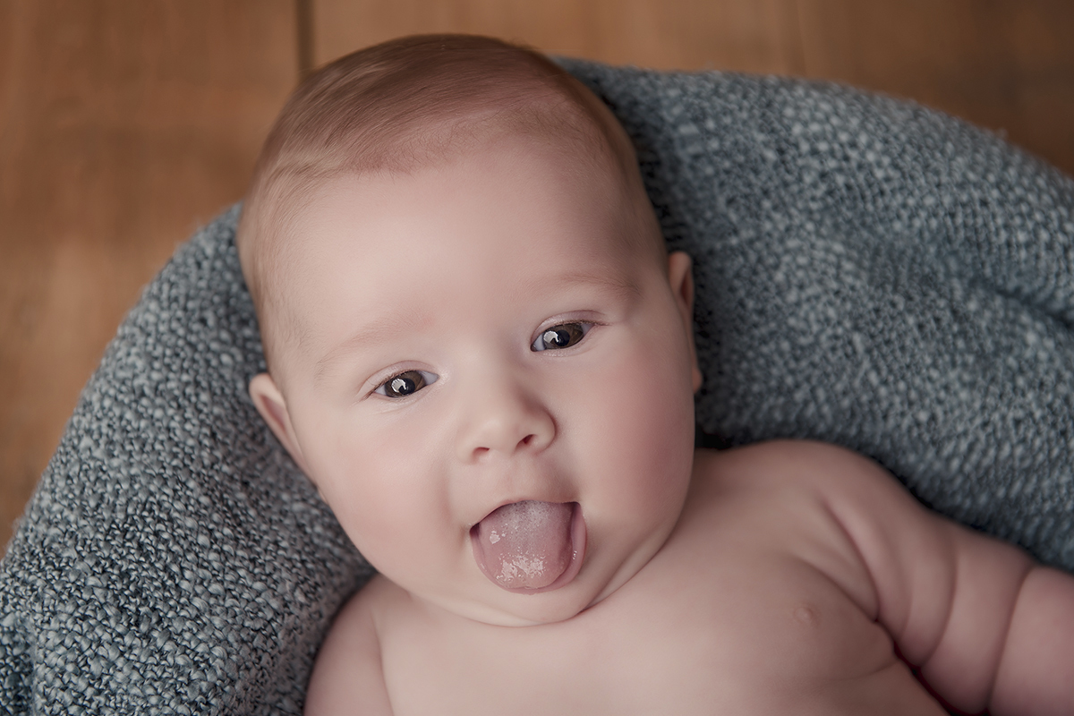 Foto de bebe em caxias do sul fotografa morgana perini bebe cinza lingua fora
