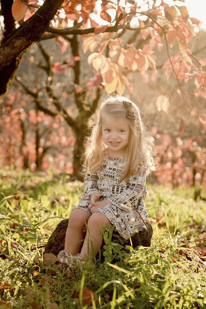 Foto de familia em caxias do sul fotografa morgana perini menina sentadinha na arvores colorida