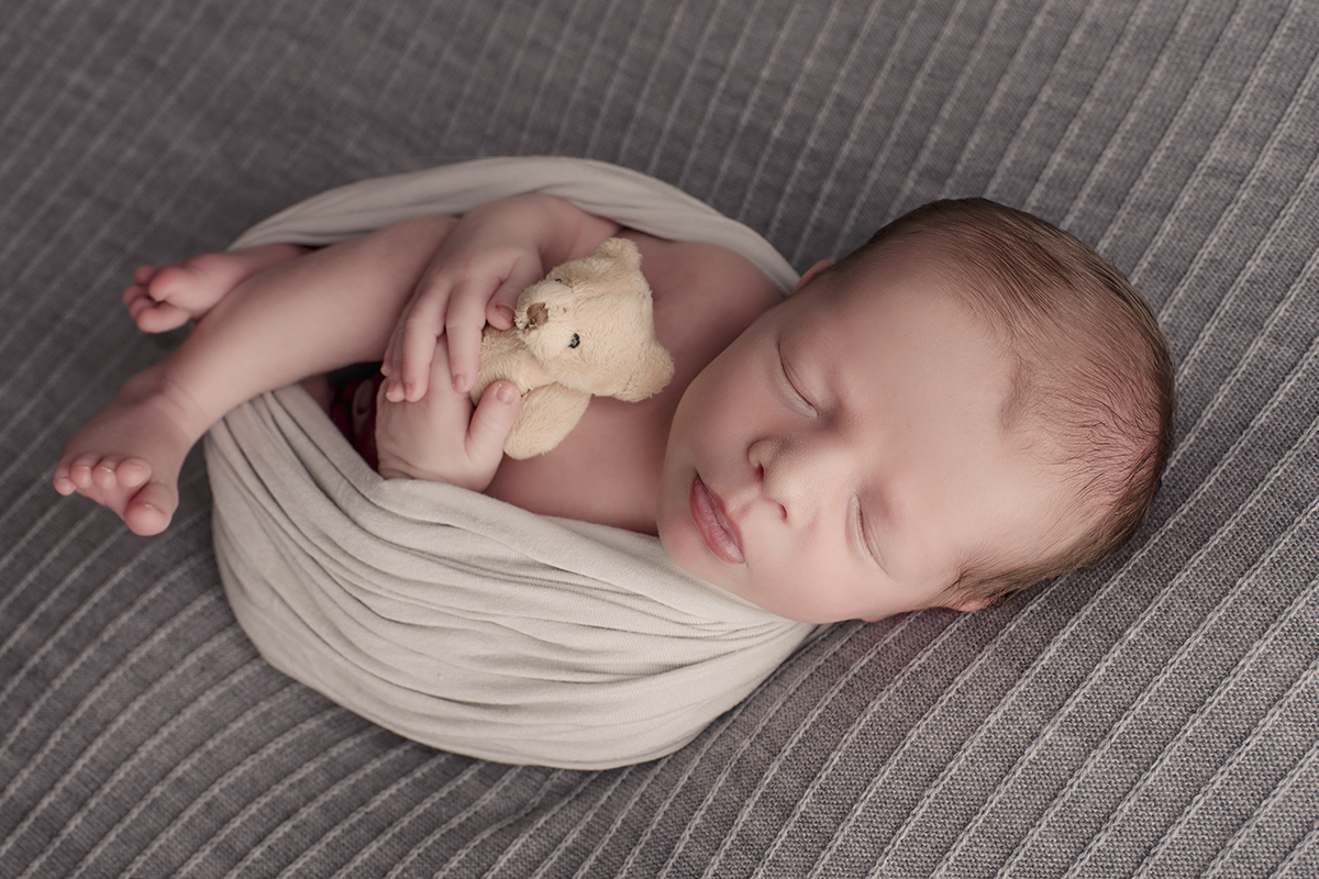 Foto newborn em caxias do sul fotografa morgana perini bebe fundo cinza urso bege