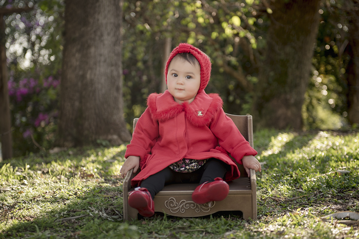 Foto de bebe em caxias do sul fotografa morgana perini bebe cadeira sentada vegetação