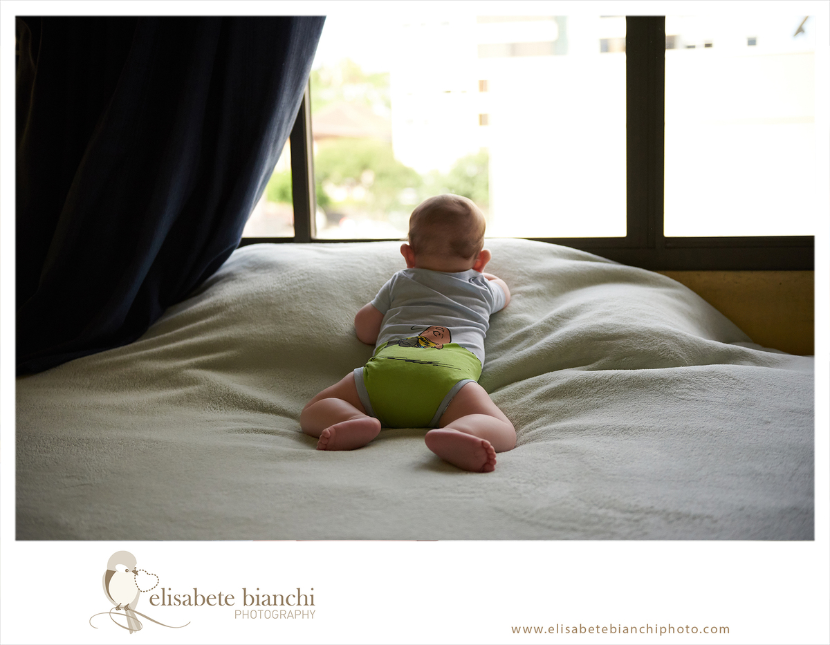 6 meses fotografia acompanhamento bebê Caxias do Sul