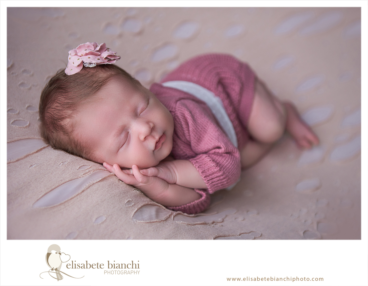 Newborn princesa Festa da Uva Caxias do Sul fotografia de recém nascido