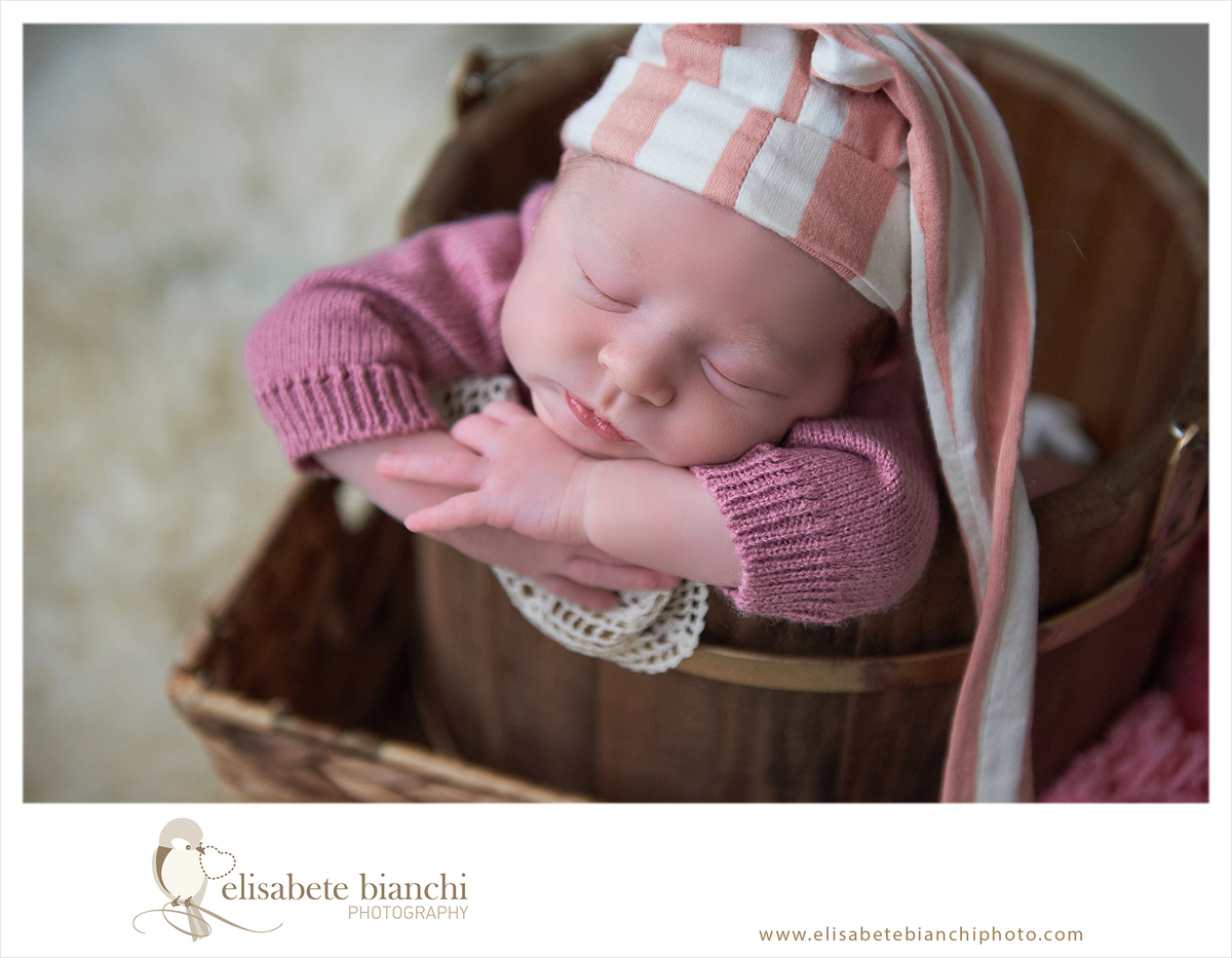 Newborn princesa Festa da Uva Caxias do Sul fotografia de recém nascido