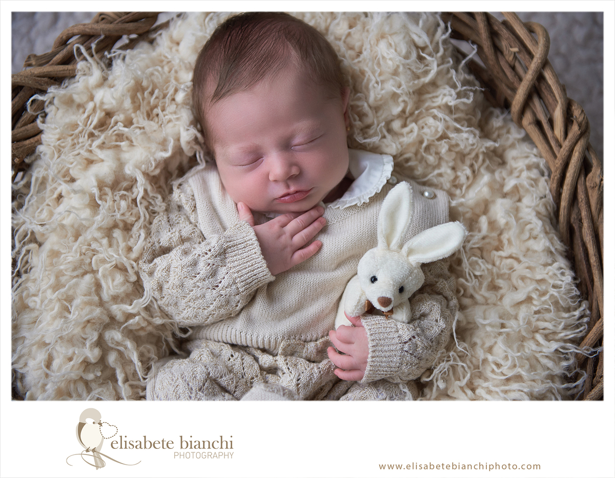 Newborn princesa Festa da Uva Caxias do Sul fotografia de recém nascido Páscoa