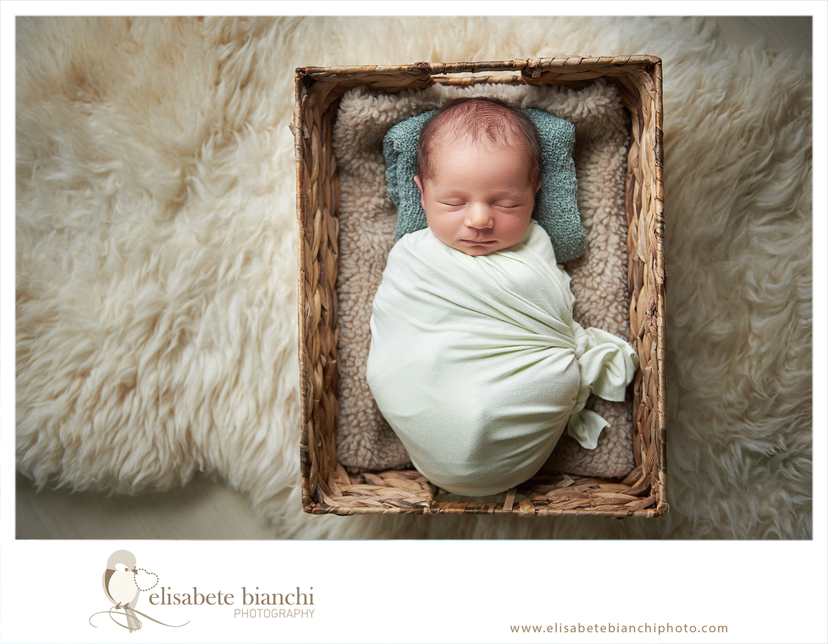 1 hora Newborn ensaio recém-nascido rápido Caxias do Sul