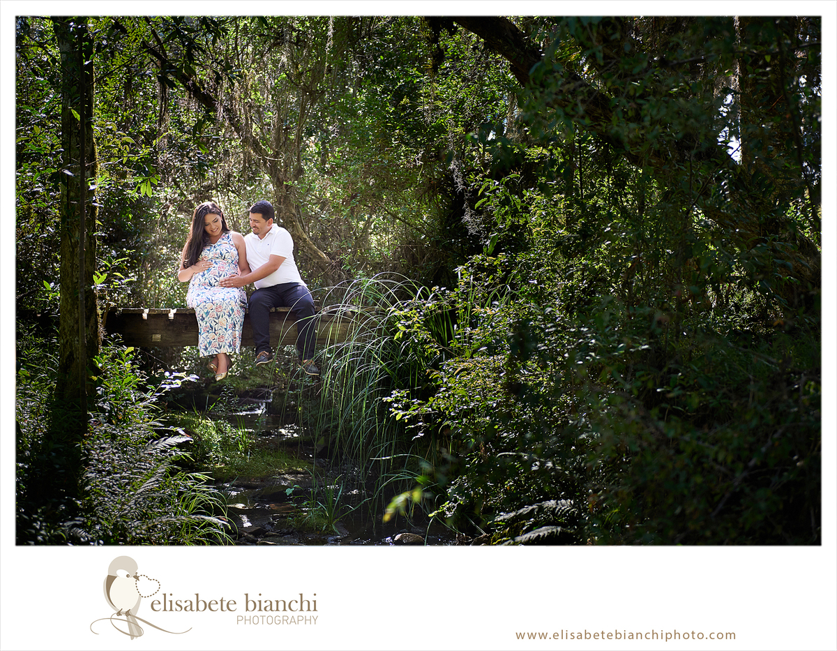 Fotos gravidez ensaio gestante externo Missões Fonte da Água Azul Santa Lúcia Piaí Caxias do Sul