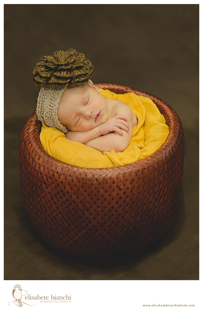 recém nascida bebê newborn Caxias do Sul 