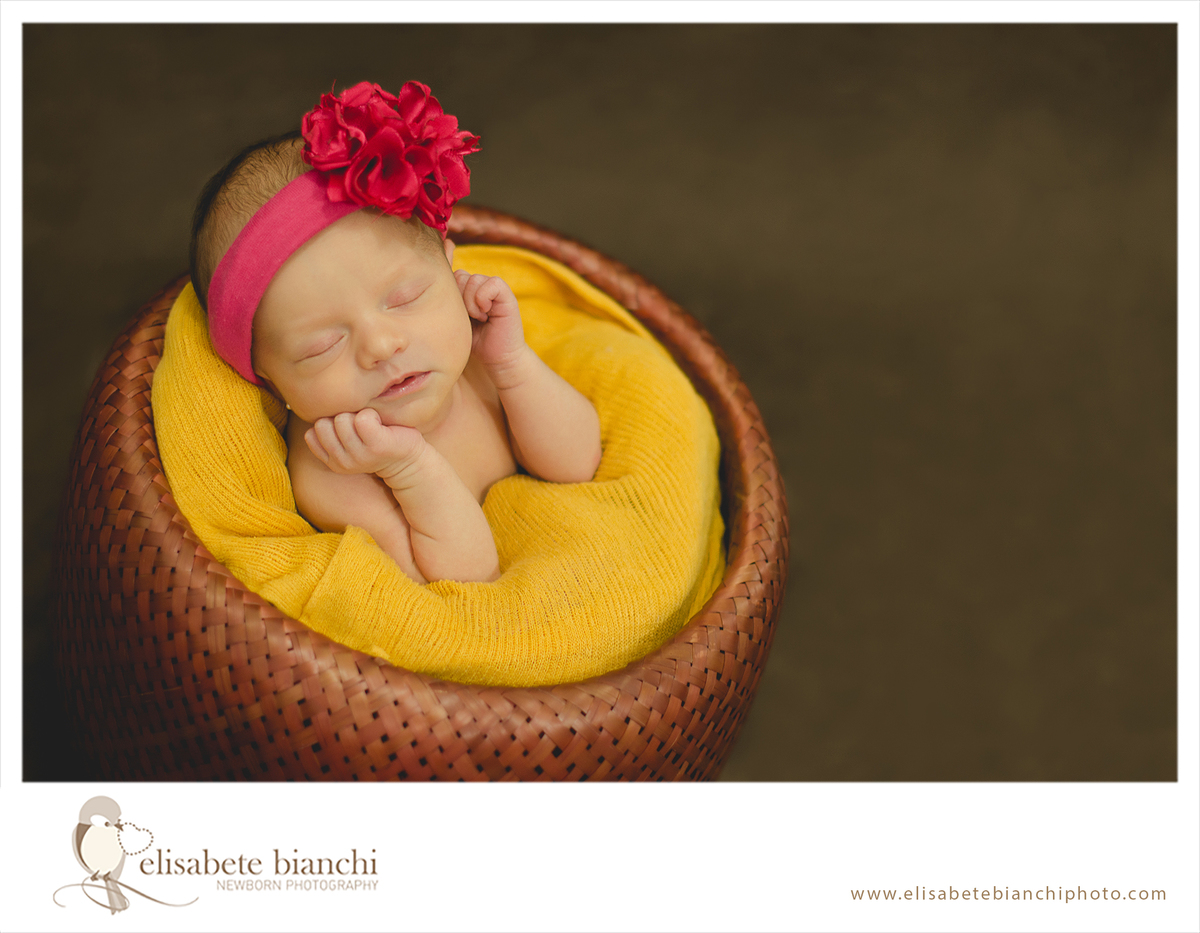 recém nascida bebê newborn Caxias do Sul 