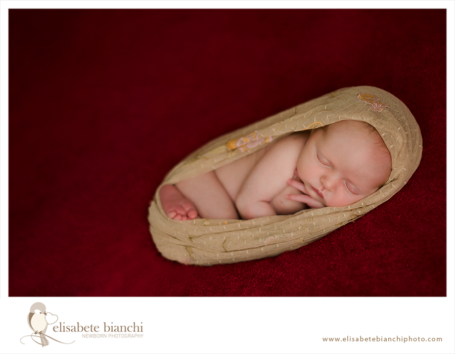 newborn domicílio fotografia recém-nascido Caxias do Sul