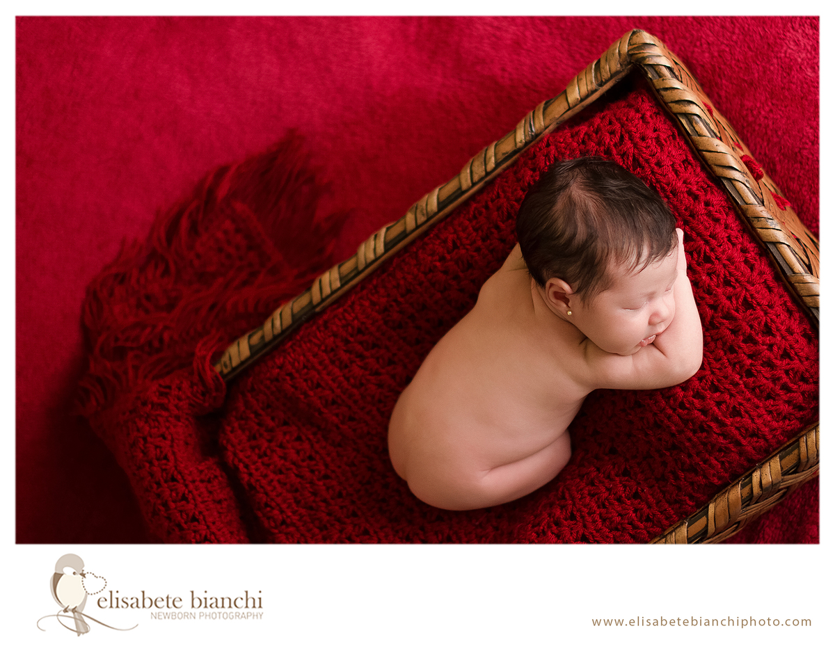 Newborn gêmeas fotografia recém-nascidos em casa no domicílio Caxias do Sul