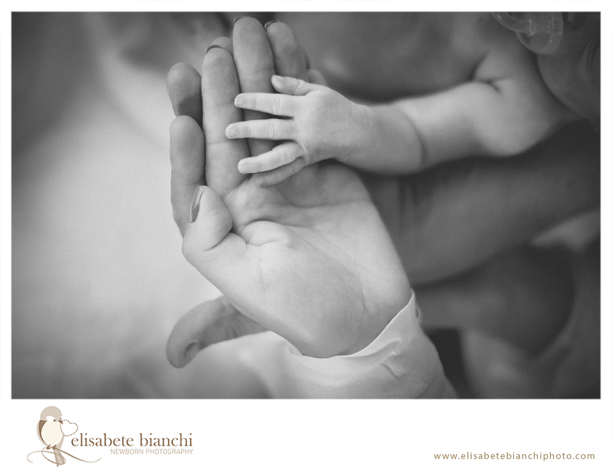 Delicadeza em sessão newborn fotografia bebe recem-nascido no domicílio Caxias do Sul 