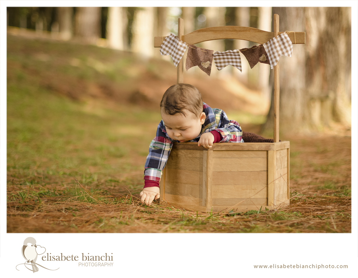 Fotografia bebê 6 meses acompanhamento trimestral Caxias do Sul