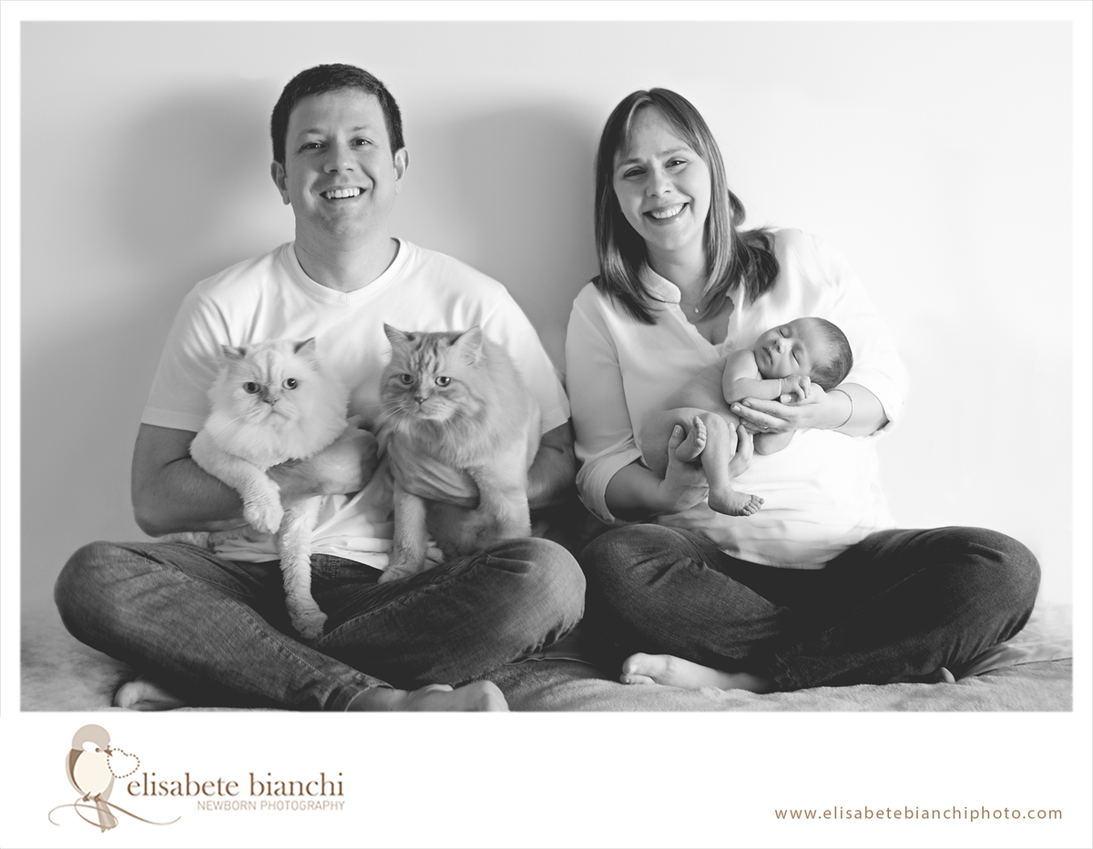 Sessão newborn com gatos ensaio fotográfico recém-nascido no domicílio em casa Caxias do Sul família