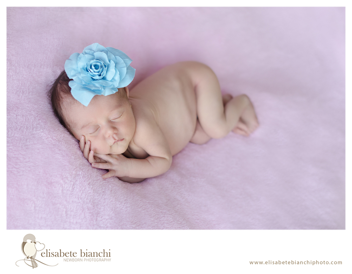 Ensaio newborn de uma estrela fotografia recém nascido Caxias do Sul