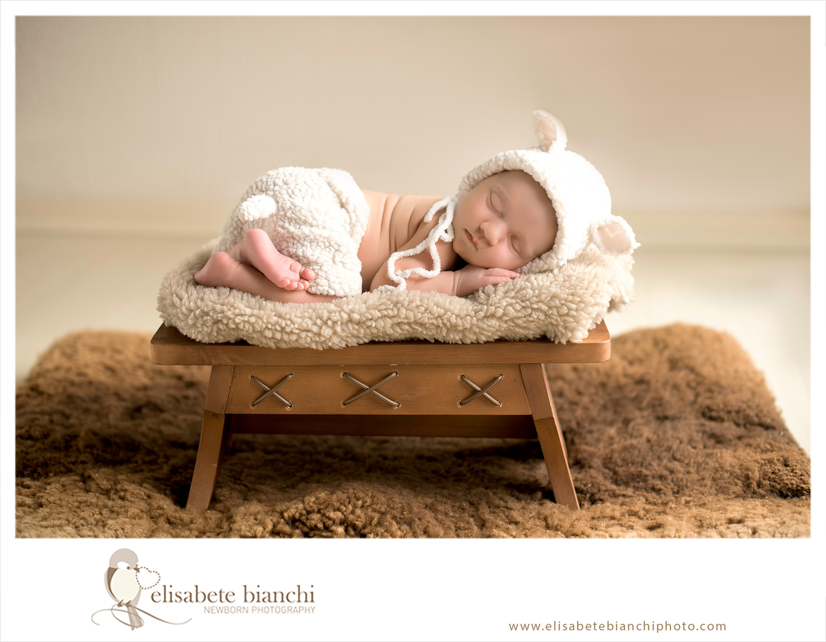 Ensaio Newborn fotos recém nascido sessão no domicílio em casa Caxias do Sul ovelhinha