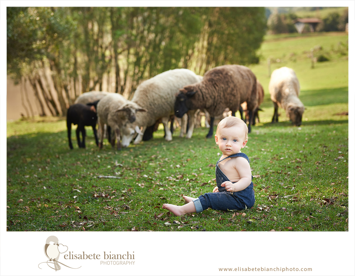 Ensaio 9 meses de bebê em externa sessão fotográfica de acompanhamento trimestral numa fazenda de campo, com cavalos e ovelhas Caxias do Sul