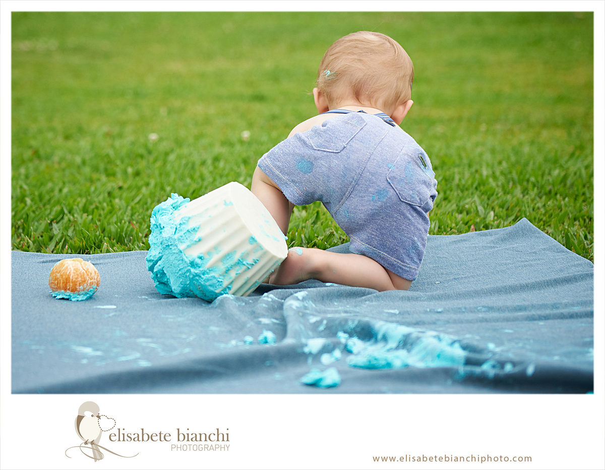 Acompanhamento 1 ano sessão fotográfica trimestral de bebê ensaio no domicílio e externa cake smash esmaga o bolo Caxias do Sul