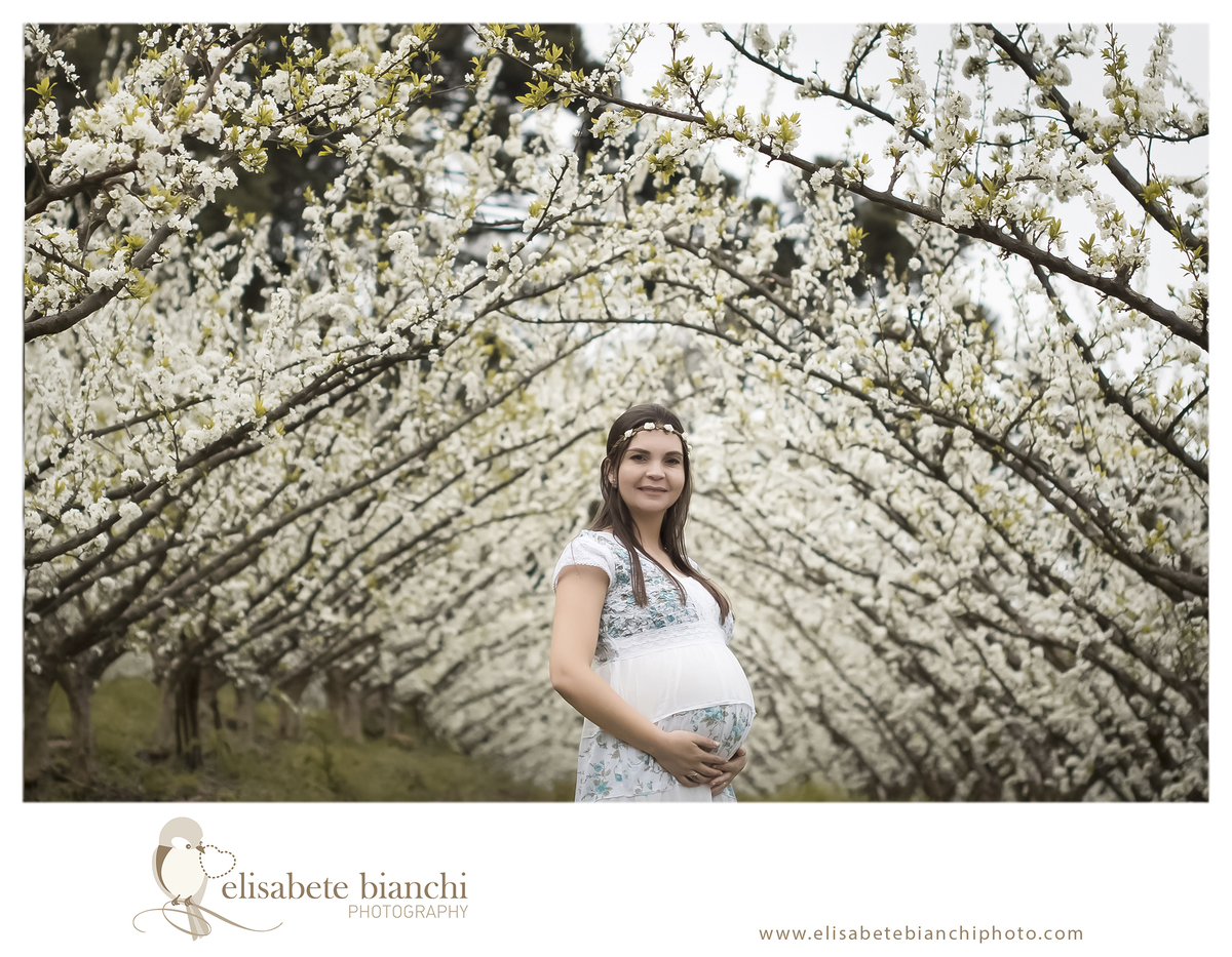 Ensaio gestante entre pessegueiros e ameixeiras sessão fotográfica externa flores brancas Caxias do Sul