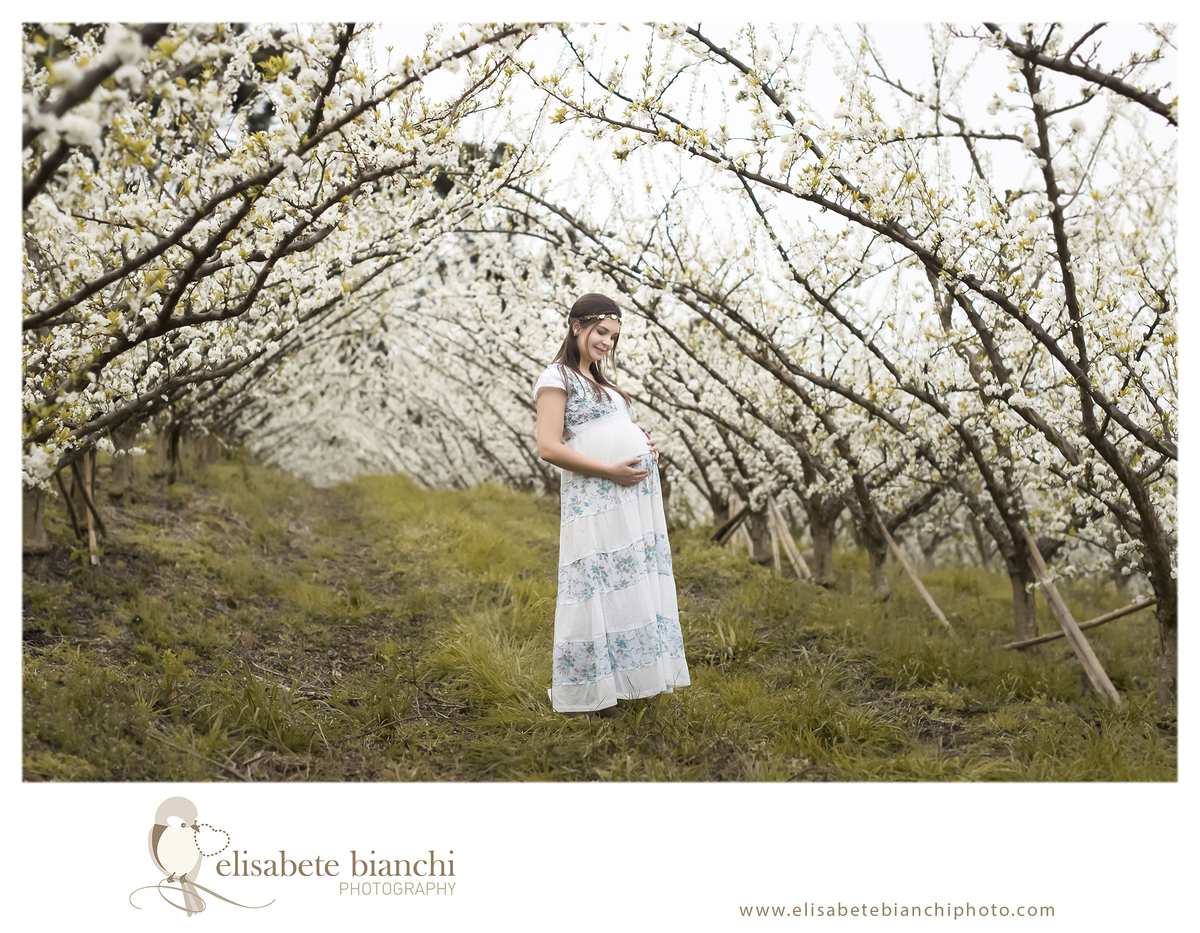 Ensaio gestante entre pessegueiros e ameixeiras sessão fotográfica externa flores brancas Caxias do Sul