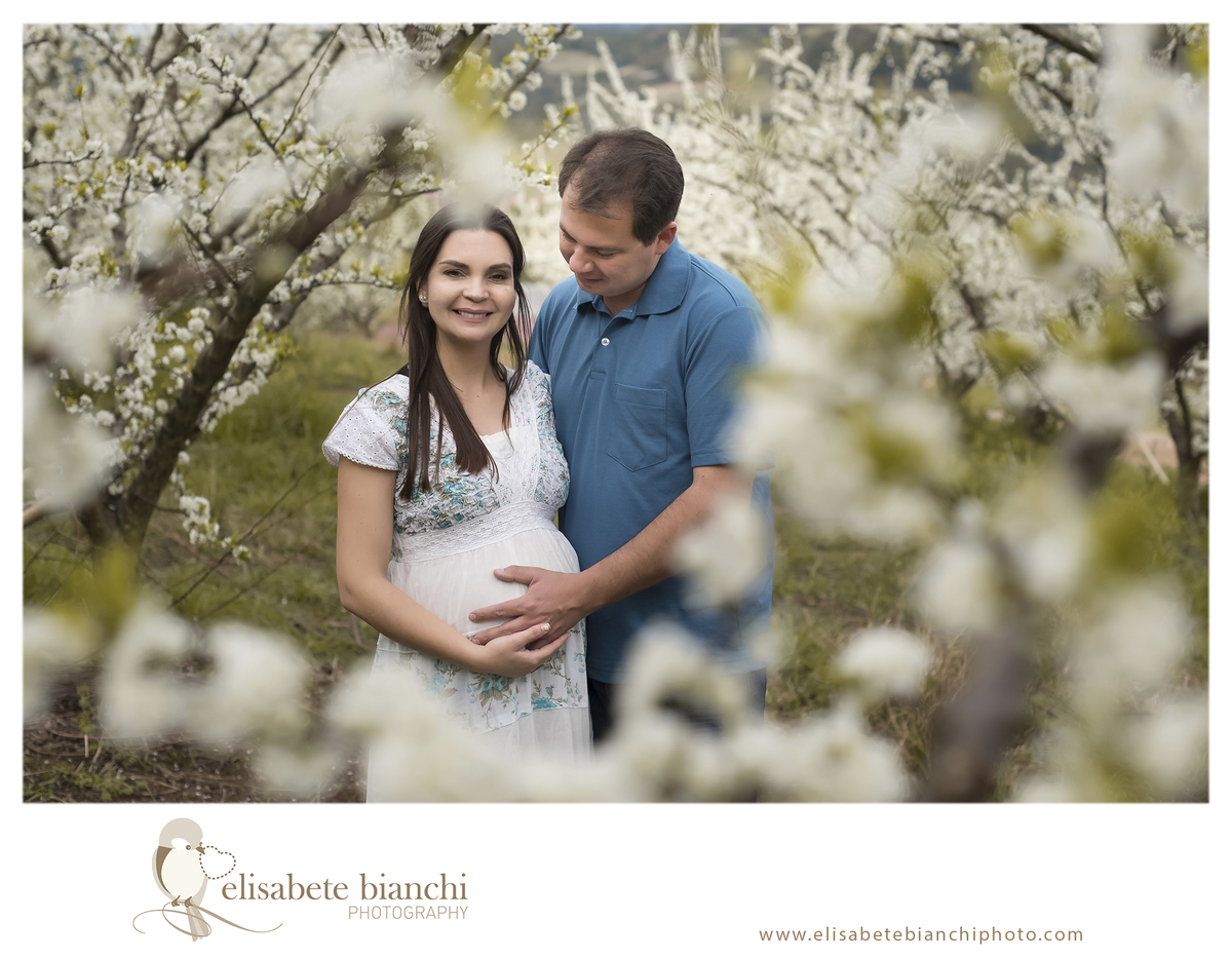 Ensaio gestante entre pessegueiros e ameixeiras sessão fotográfica externa flores brancas Caxias do Sul