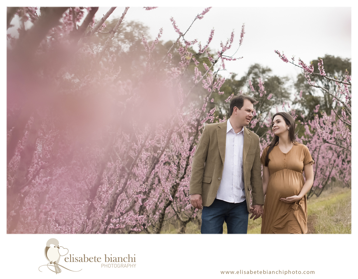 Ensaio gestante entre pessegueiros e ameixeiras sessão fotográfica externa flores rosa  Caxias do Sul