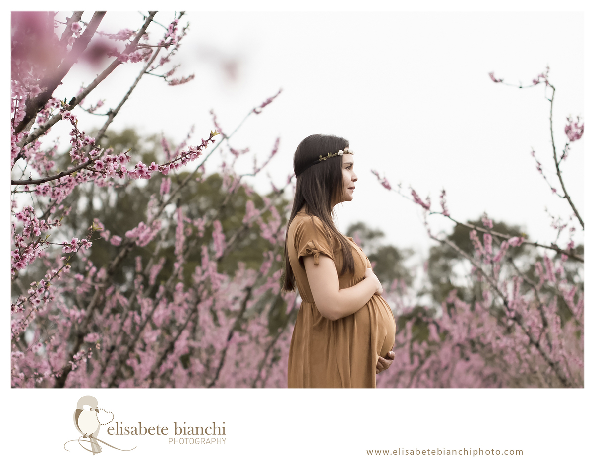 Ensaio gestante entre pessegueiros e ameixeiras sessão fotográfica externa flores rosa  Caxias do Sul