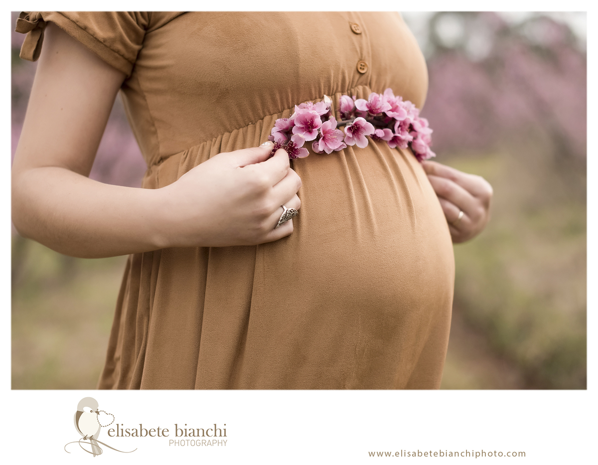 Ensaio gestante entre pessegueiros e ameixeiras sessão fotográfica externa flores rosa  Caxias do Sul