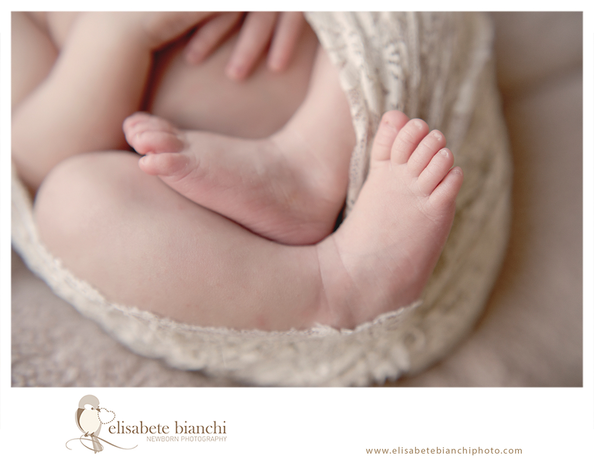 Detalhes do recém-nascido pés ensaio newborn Caxias do Sul