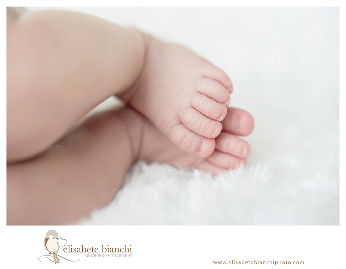 Detalhes do recém-nascido pés ensaio newborn Caxias do Sul