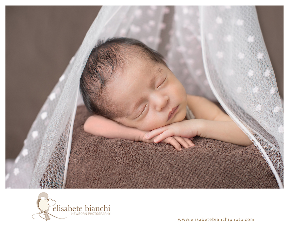 Newborn com recém-nascido a termo ensaio fotográfico Caxias do Sul