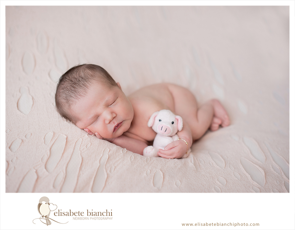 Newborn Menina Princesa ensaio recém-nascido Caxias do Sul