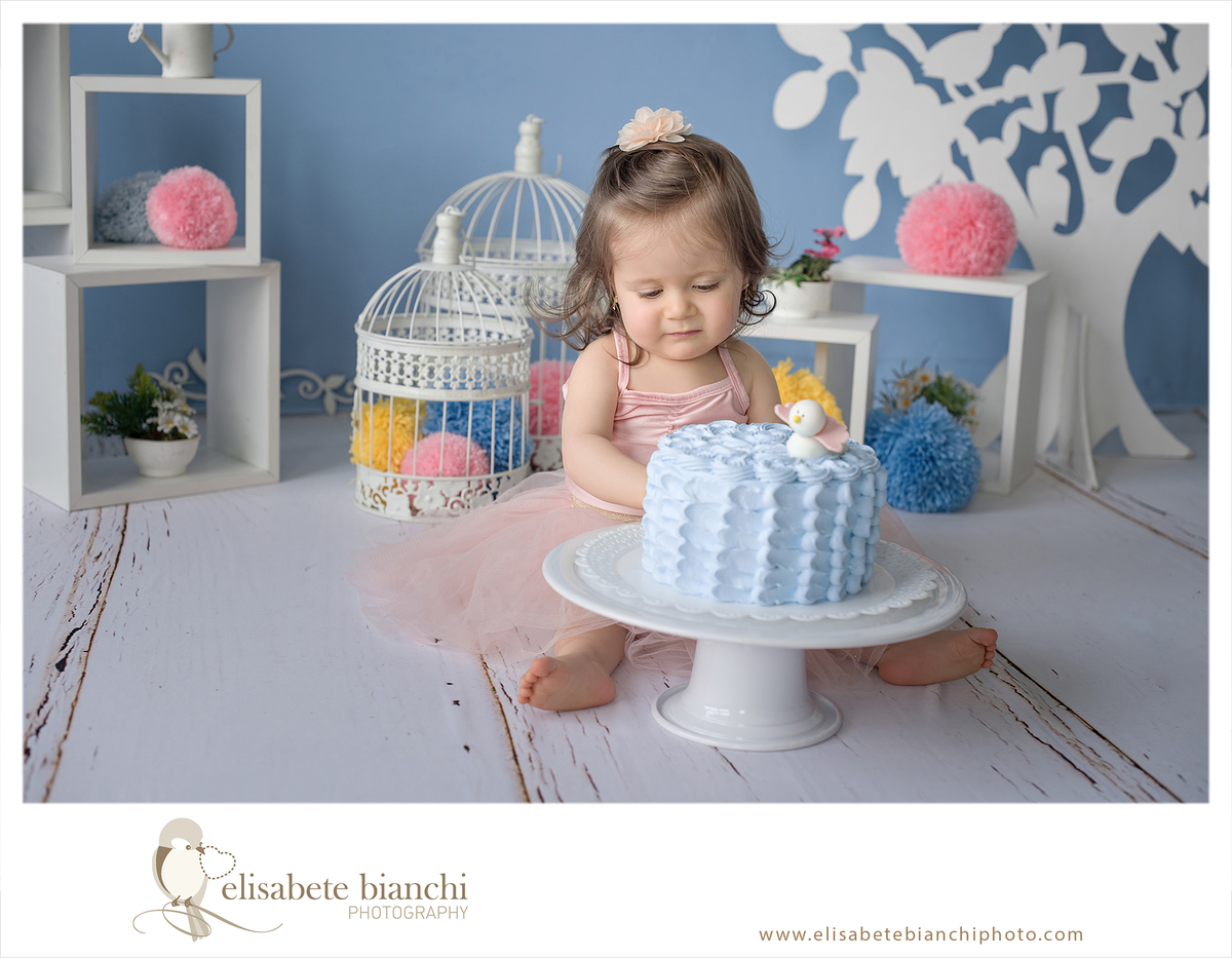 Smash the Cake ensaio esmaga o bolo 1 aninho sessão fotográfica fura bolo  1 ano acompanhamento bebê Caxias do Sul