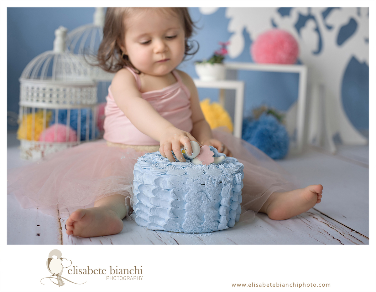 Smash the Cake ensaio esmaga o bolo 1 aninho sessão fotográfica fura bolo  1 ano acompanhamento bebê Caxias do Sul