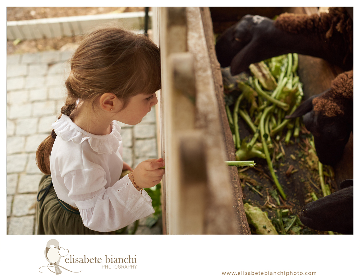 Ensaio Gaúcho Prenda sessão fotográfica cultura gaúcha Caxias do Sul