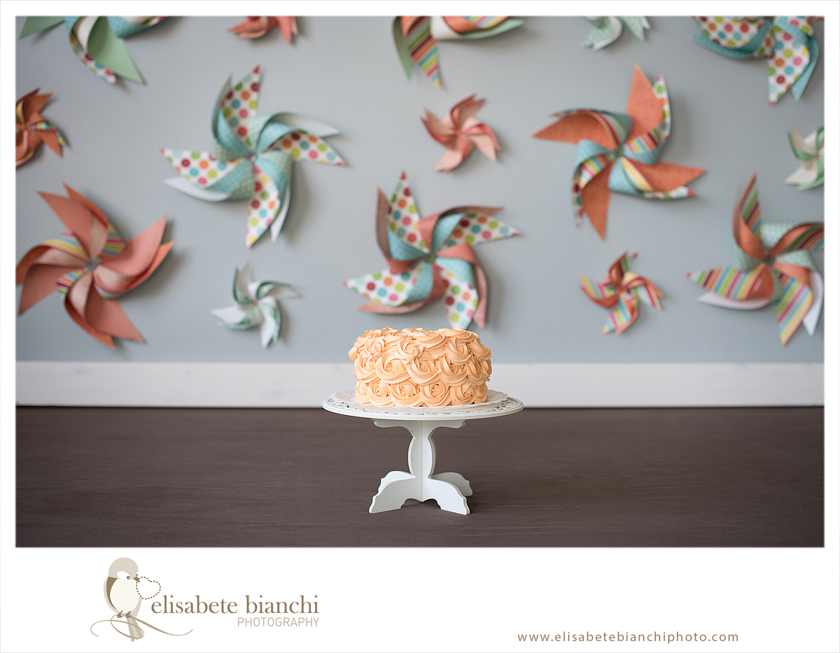 Cake Smash sessão de fotos esmaga o bolo ensaio fotográfico fura o bolo  cenário cataventos Caxias do Sul