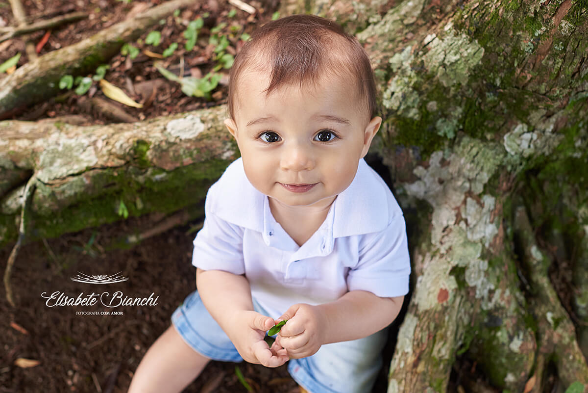 Bebê de 10 meses sentado em meio às raízes de uma árvore, em ensaio fotográfico de família, em Caxias do Sul - RS.
