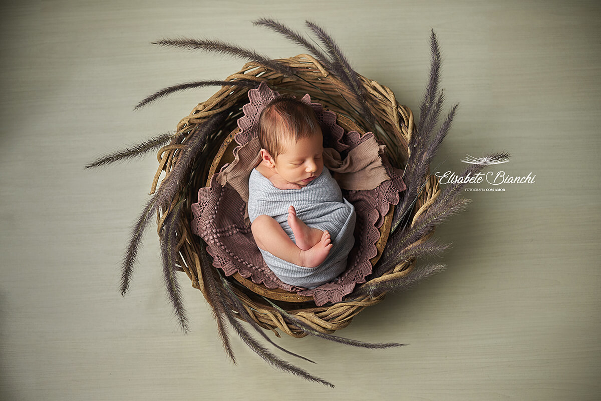 Bebê recém-nascido, enroladinho, com pés aparentes, deitado em um cesto rústico redondo, com planta capim do texas ao redor, em ensaio newborn, Caxias do Sul - RS.
