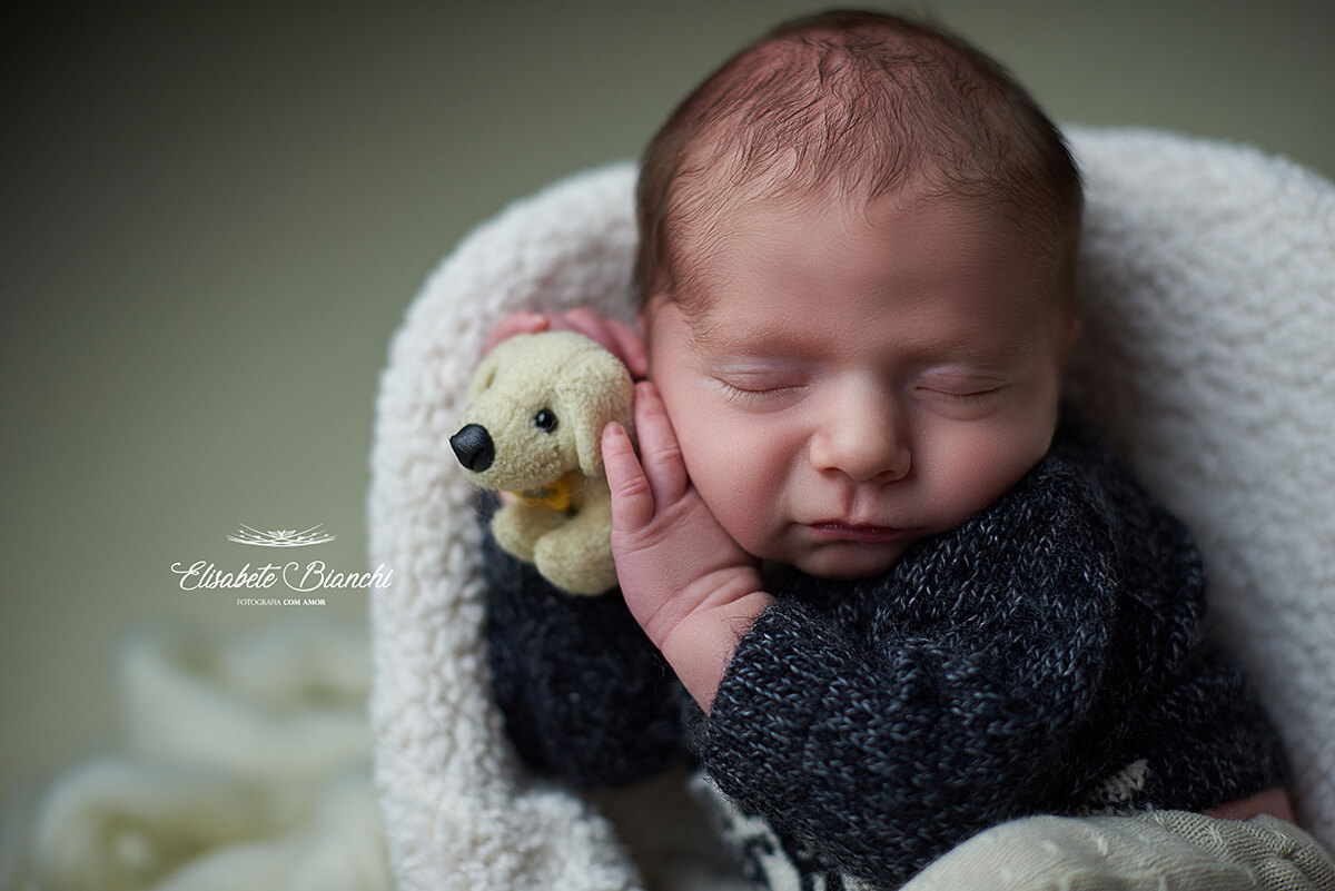 Bebê recém-nascido segurando um cachorrinho de pelúcia, sentado em uma poltrona, no ensaio Newborn, em Caxias do Sul - RS