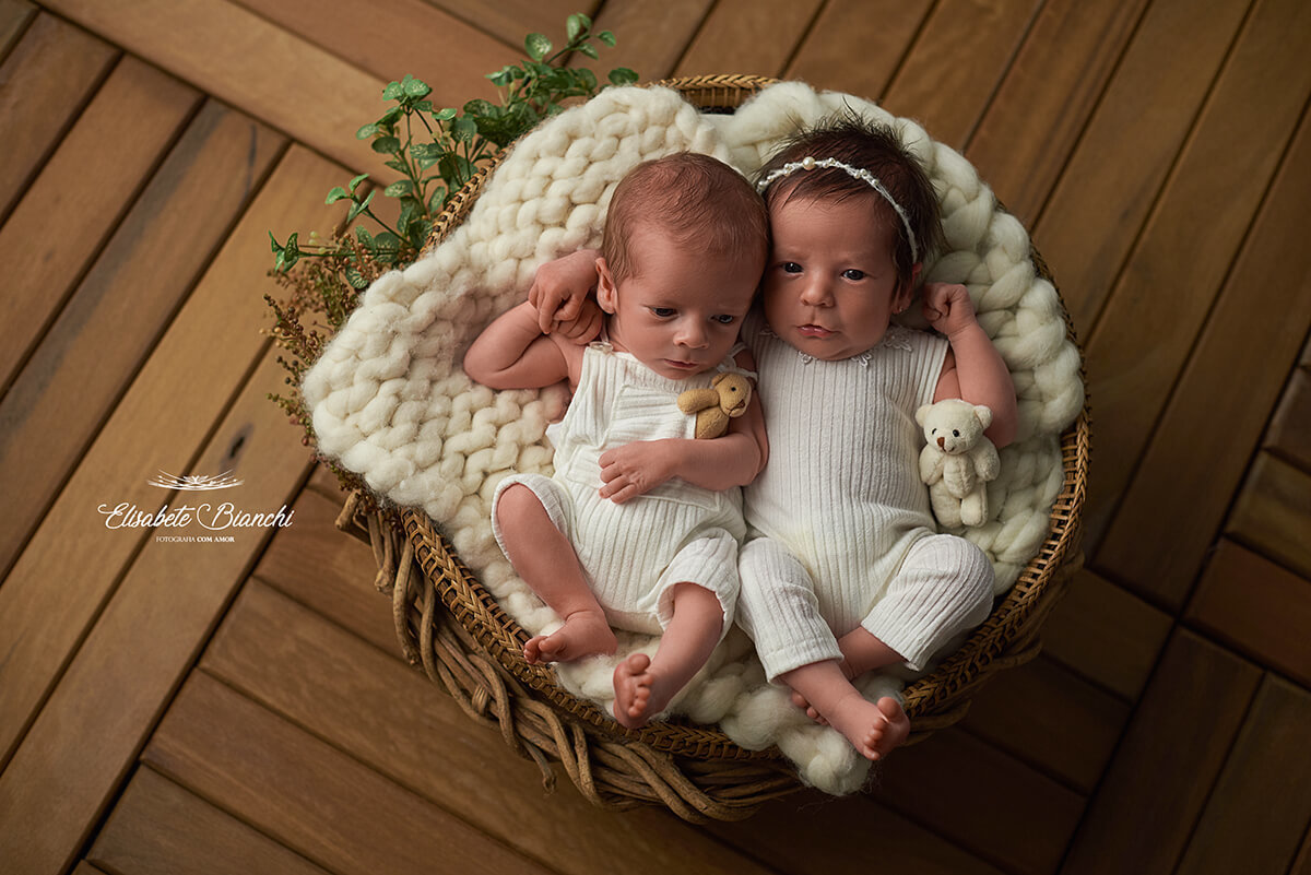 Bebês recém-nascidos dentro de um cestinho, em ensaio newborn, em Caxias do Sul.
