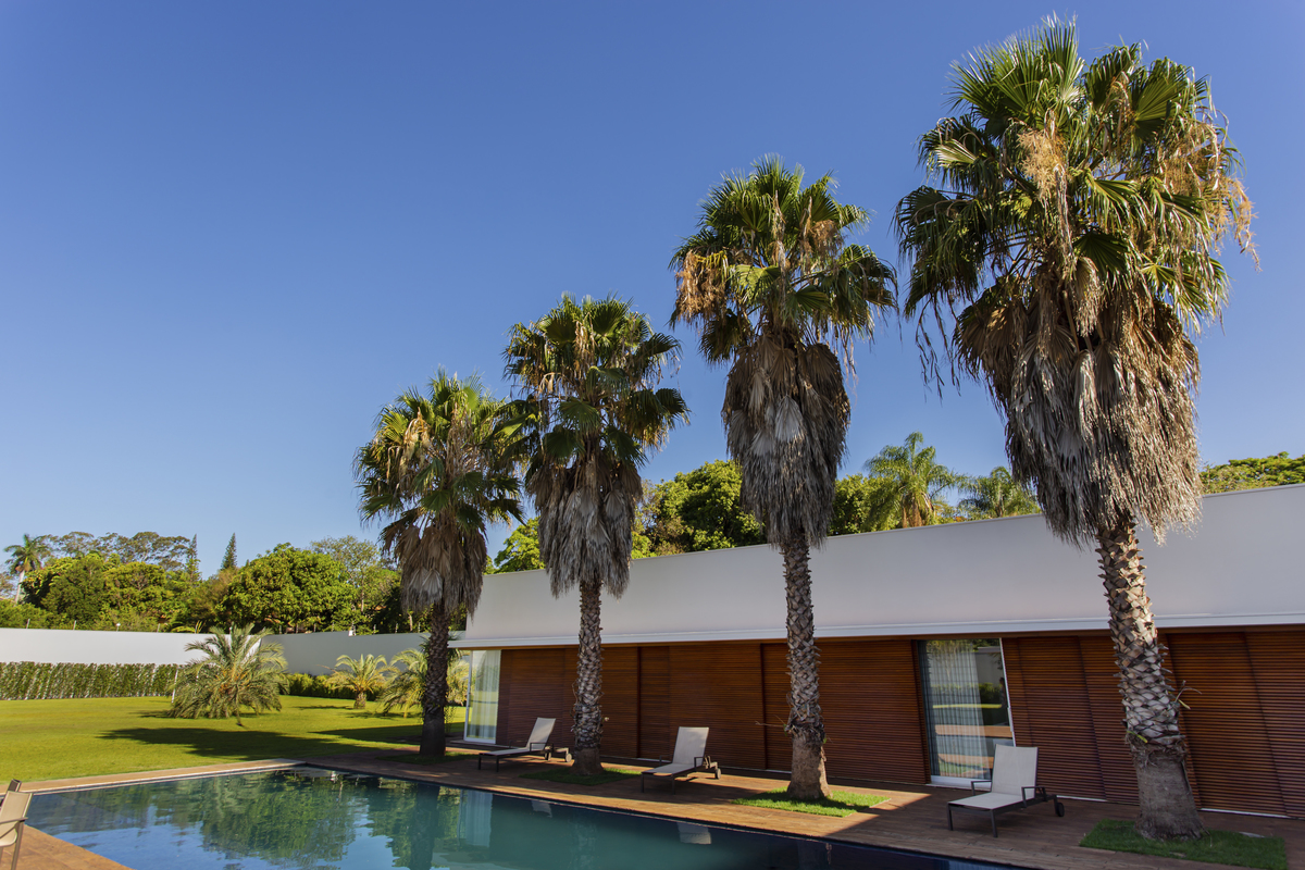 casa moderna com jardim lindo