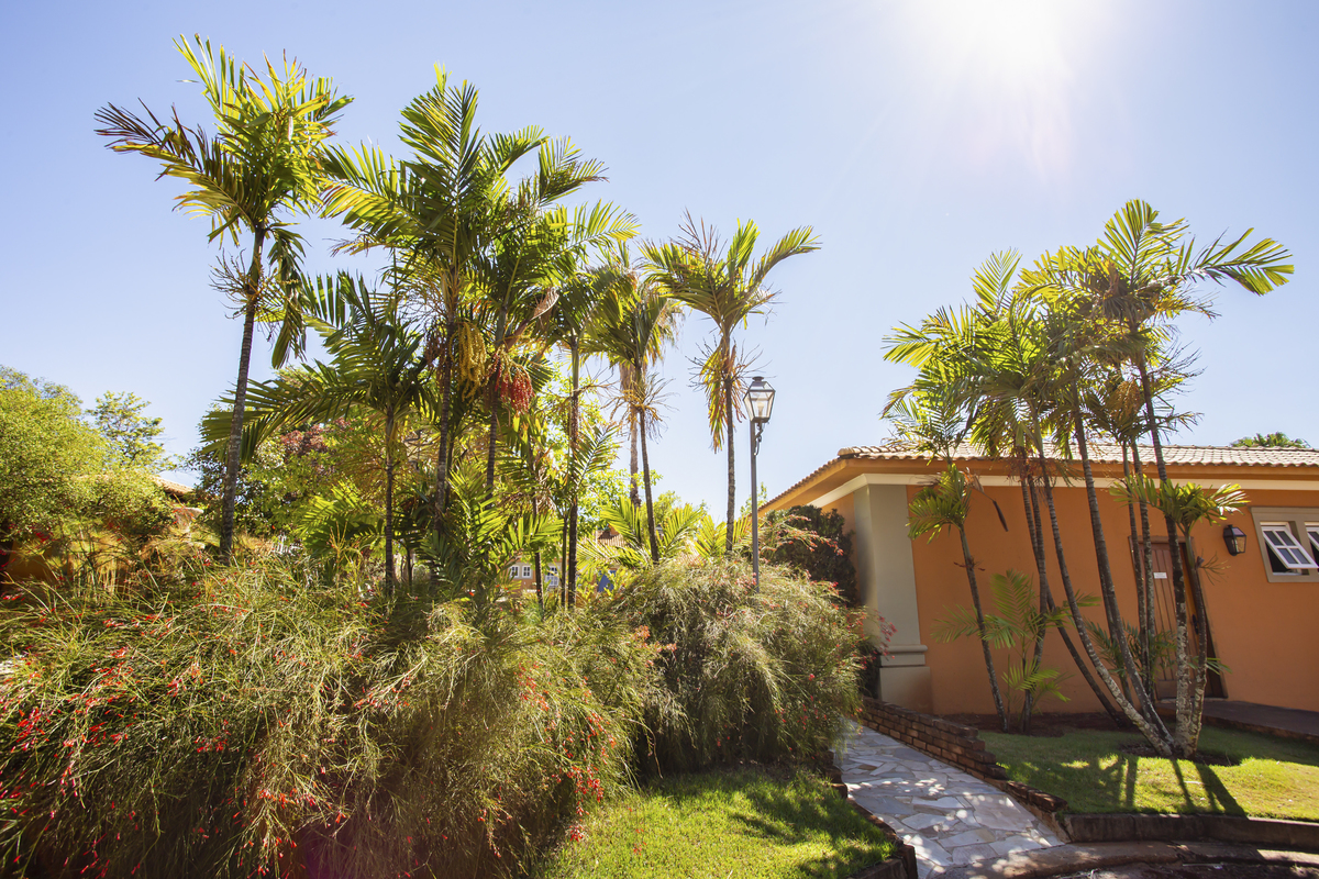 paisagismo em jau com árvores
